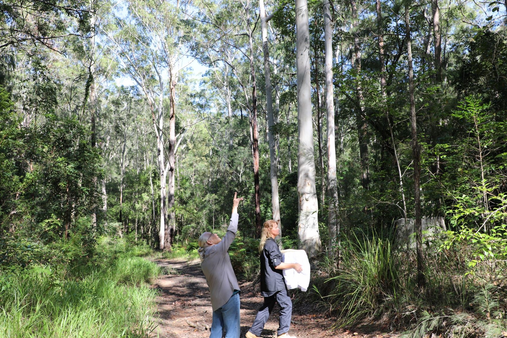 20240327-koala volunteers.jpg