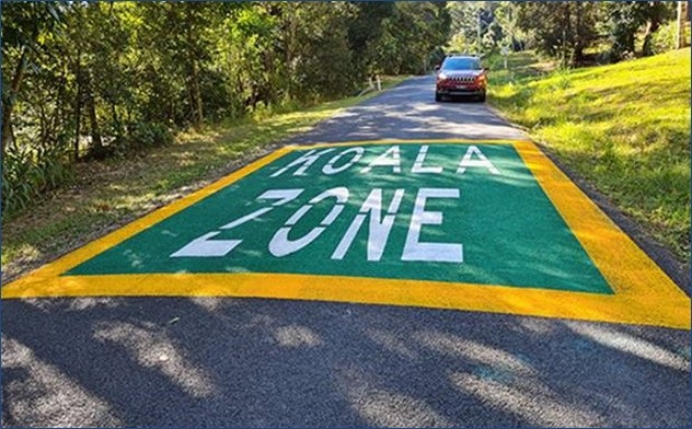 Koala road markings.jpg