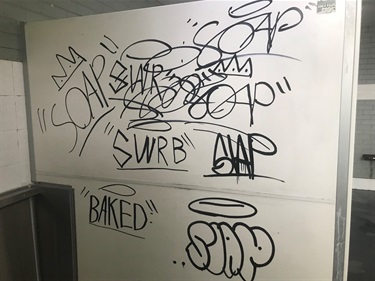 Vandalism at Back Creek toilets