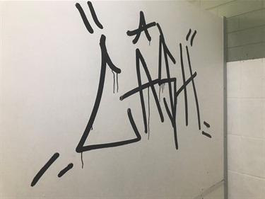 Vandalism at Back Creek toilets