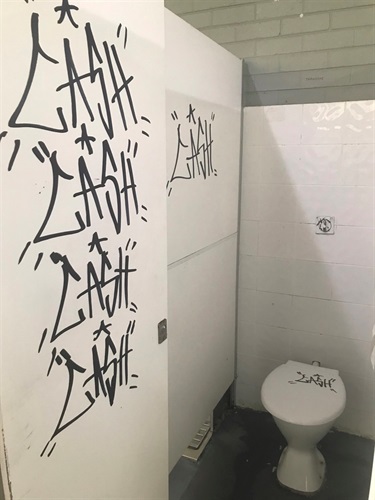 Vandalism at Back Creek toilets