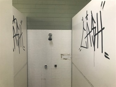 Vandalism at Back Creek toilets