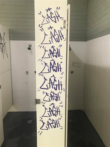 Vandalism at Back Creek toilets