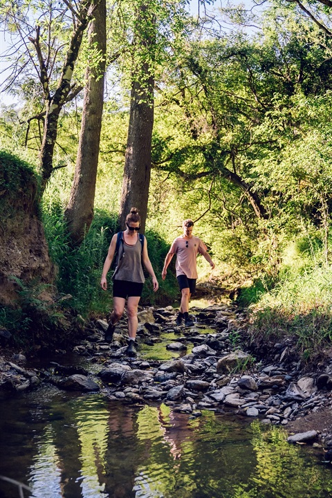 Exploring the natural beauty of the Macleay Valley Hinterland.jpg