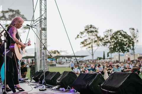 Beccy Cole playing music to a crowd