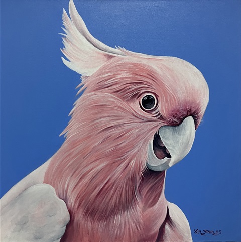 PinkytheCockatooKimStaples.jpg