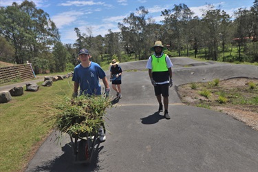 Students planting at the pump track