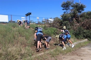 Students weeding