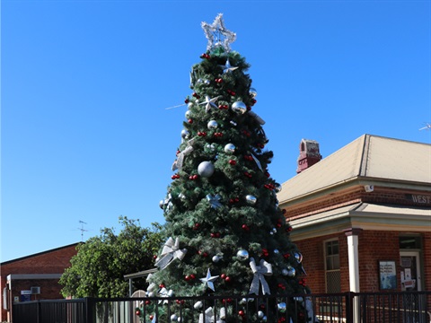 A Christmas tree in Elbow Street West Kempsey