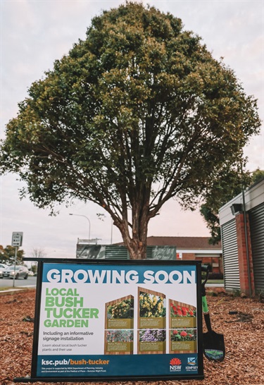 Opening of Kempsey Library's Bush Tucker Garden