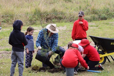 Queen Street Planting Day