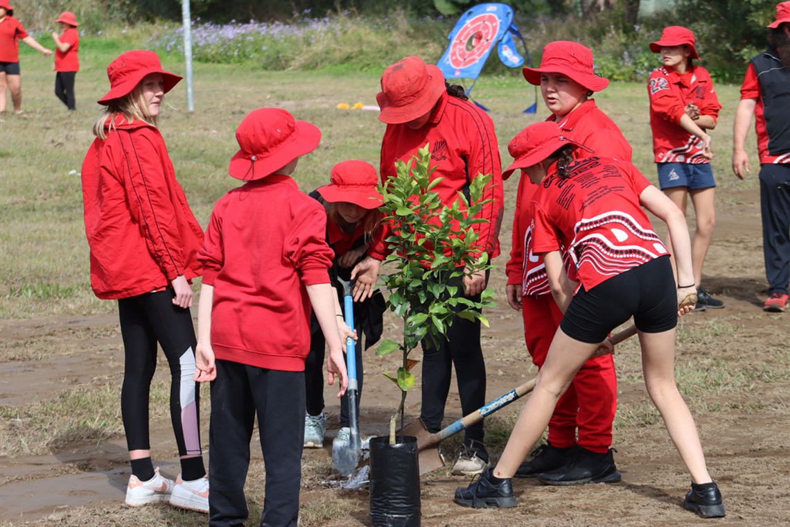 Children planting plants