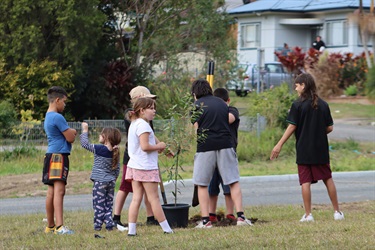 Queen Street Planting Day