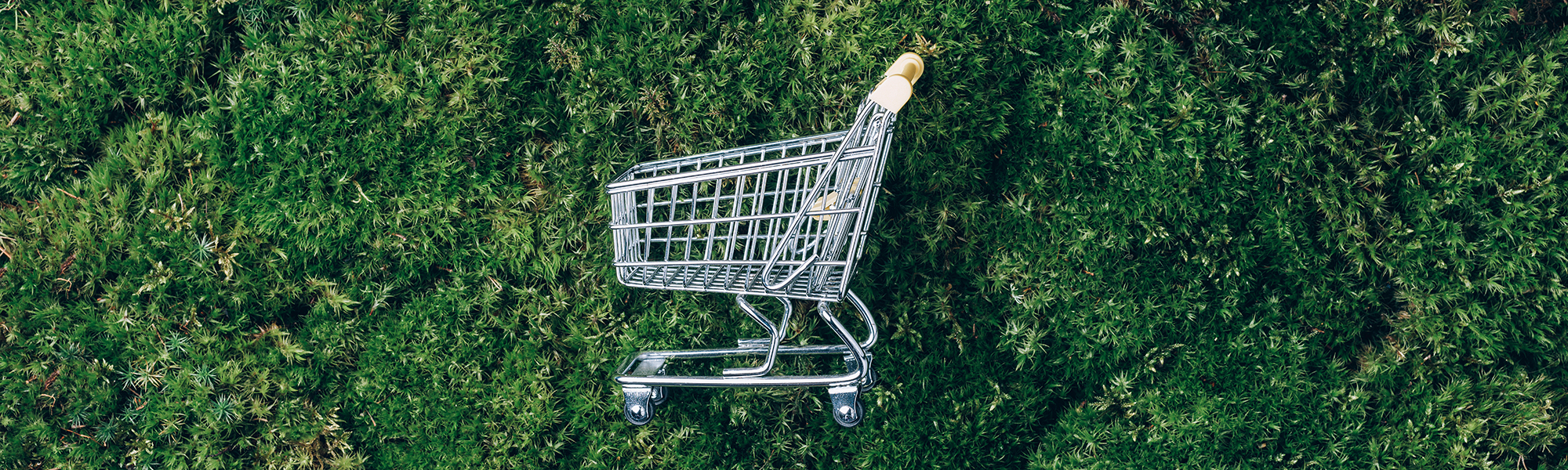 Sustainable purchasing shopping cart on grass