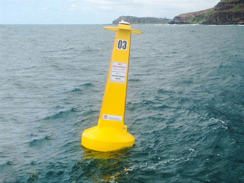 Shark listening stations record the presence of tagged animals swimming within 500 metres.