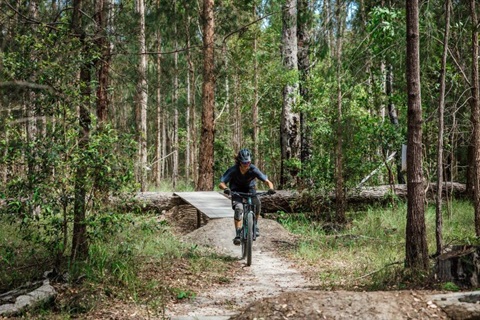 Mountain bike trailer at Kalateenee State Forest