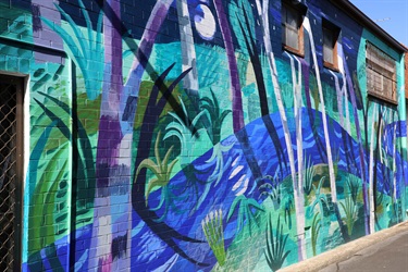 Savages Lane decorated
