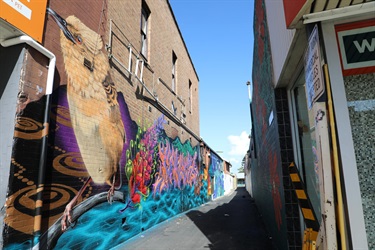 Savages Lane decorated