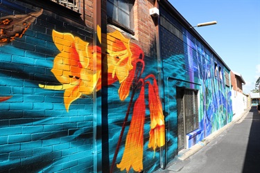 Savages Lane decorated