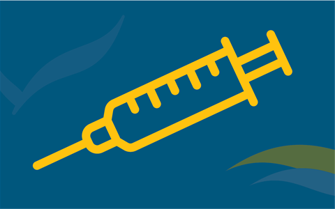 A graphic of a vaccine syringe