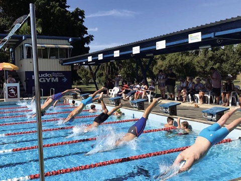 people diving into a pool