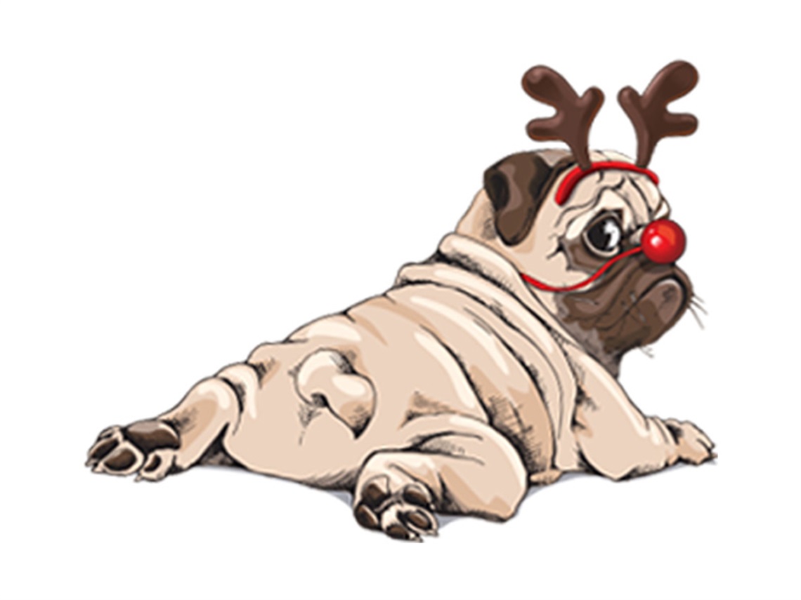 christmas-pug-800px.jpg