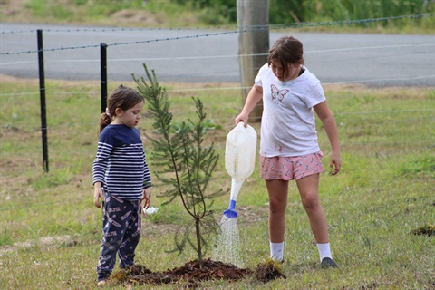 20220811-Queen-Street-Planting-16.jpg