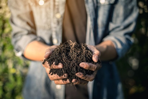 Being-waste-wise-this-winter-can-save-you-money-and-benift-environment 