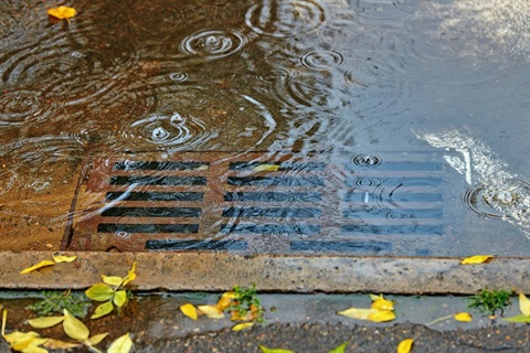 stormwater drain.jpg
