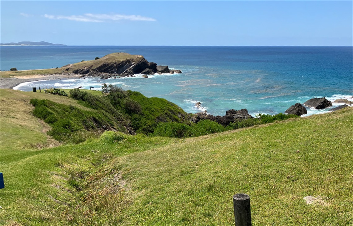 an algal bloom at crescent head