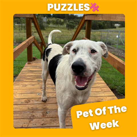 POTW- Puzzles.png