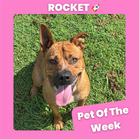 POTW- Template (3).png