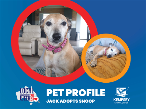 20230802_Adopt a Pet_ Jack_Web.png