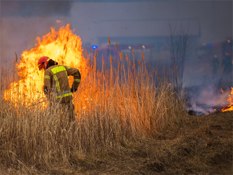 Bushfire GIVIT_800X600px