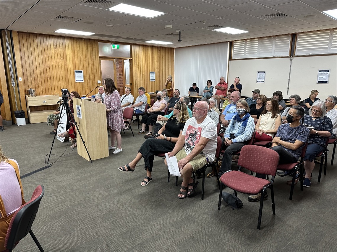 a lady speaking at the public forum