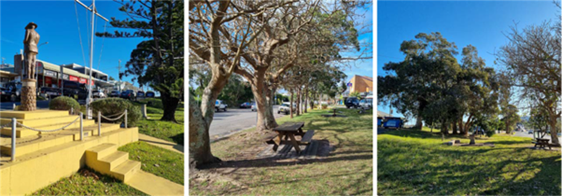 Lyoyd Park montage.png