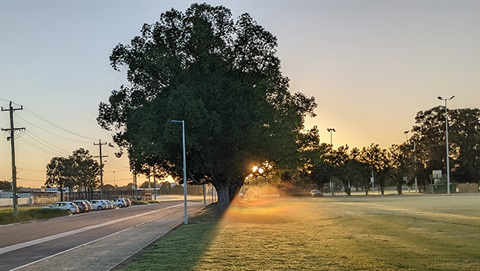 Verge St oval walking track